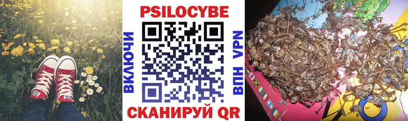 Псилоцибиновые грибы ЛСД  Астрахань 